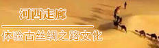 ȡM(jn)̽ش񵩻Ǿ^(gun)