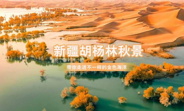 門票頁左側(cè)圖1